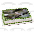 Zebra Finch Bird Nature Wildlife Outdoors Australia Edible Cake Topper Image ABPID52986 For Cheap