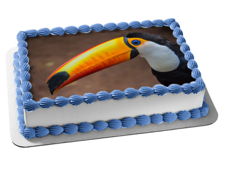 Nature Animal Bird Toucan Jungle Wildlife Edible Cake Topper Image ABPID52830 Online