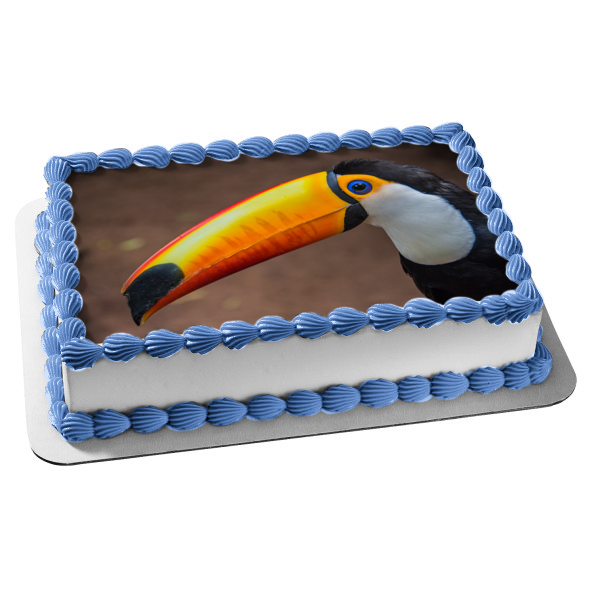 Nature Animal Bird Toucan Jungle Wildlife Edible Cake Topper Image ABPID52830 Online