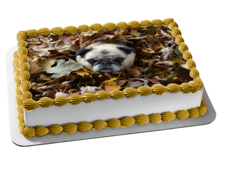 Pug Puppy In Leaf Pile Fall Season Edible Cake Topper Image ABPID52935 Sale