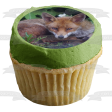 Nature Wildlife Forest Fox Animal Edible Cake Topper Image ABPID52828 on Sale