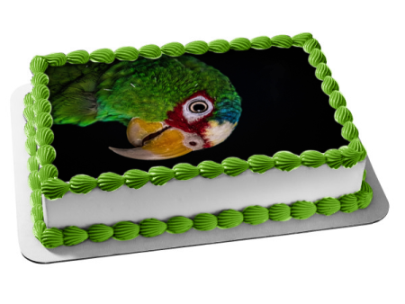 Parrot Bird Animal Nature Wildlife Edible Cake Topper Image ABPID52993 Online now