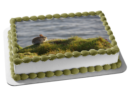 Bunny Rabbit Cliffside Nature Animal Edible Cake Topper Image ABPID52914 For Sale