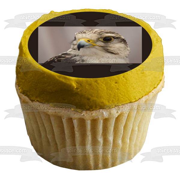 Wildlife Eagle Edible Cake Topper Image ABPID52938 Online