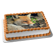 Wildlife Fox Edible Cake Topper Image ABPID52939 Discount