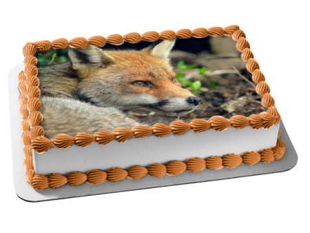 Wildlife Fox Edible Cake Topper Image ABPID52939 Discount