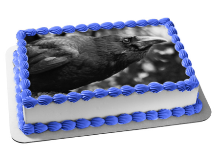 Raven Black and White Nature Edgar Allan Poe Edible Cake Topper Image ABPID52846 Online Sale