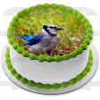 Wildlife Blue Jay Edible Cake Topper Image ABPID52940 Online now