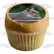 Squirrel Eating Nature Animal Wildlife Edible Cake Topper Image ABPID52844 Discount