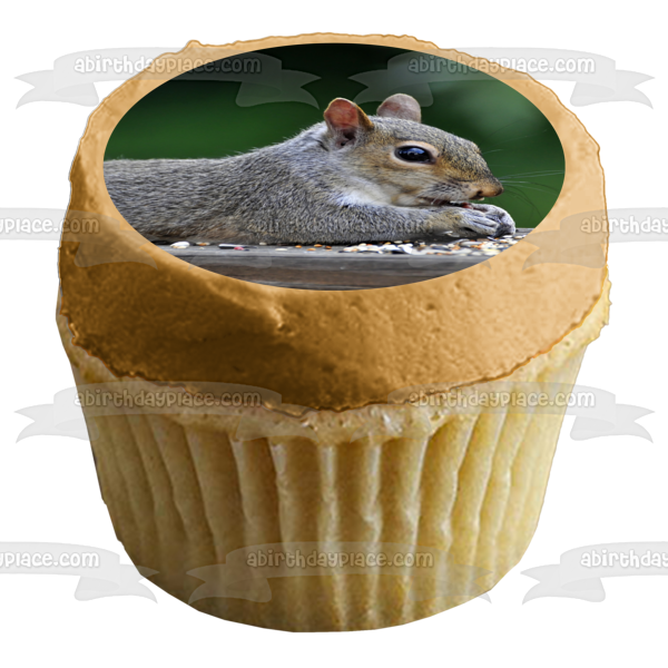 Squirrel Eating Nature Animal Wildlife Edible Cake Topper Image ABPID52844 Discount