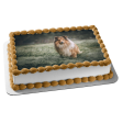 Rough Collie Dog Pet Animal Edible Cake Topper Image ABPID52942 Online Hot Sale