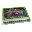 Nature Wildlife Forest Fox Animal Edible Cake Topper Image ABPID52828 on Sale