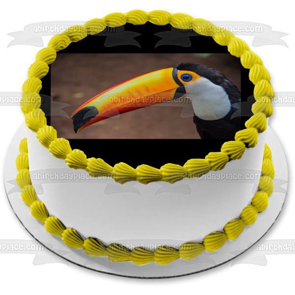 Nature Animal Bird Toucan Jungle Wildlife Edible Cake Topper Image ABPID52830 Online