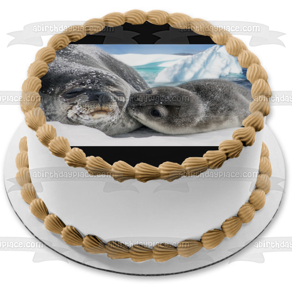 Mother and Baby Seal Nature Animal Wildife Arctic Ocean Edible Cake Topper Image ABPID52916 For Sale