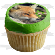 Wildlife Fox Edible Cake Topper Image ABPID52939 Discount