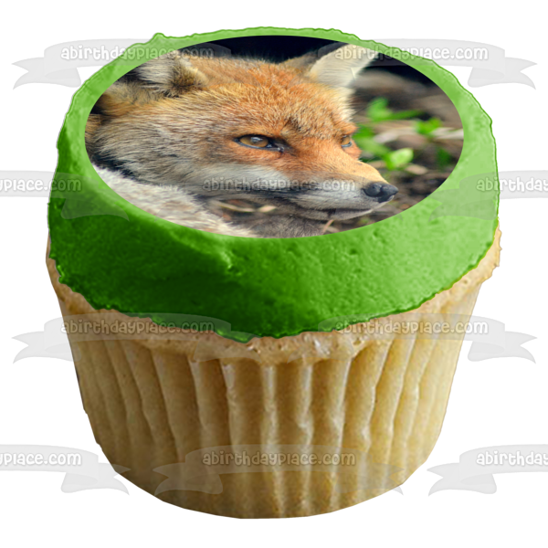 Wildlife Fox Edible Cake Topper Image ABPID52939 Discount