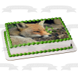 Wildlife Fox Edible Cake Topper Image ABPID52939 Discount