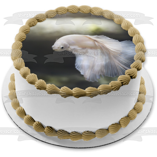 White Betta Fish Aquarium Animal Nature Edible Cake Topper Image ABPID52988 For Cheap