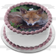 Nature Wildlife Forest Fox Animal Edible Cake Topper Image ABPID52828 on Sale