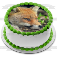 Wildlife Fox Edible Cake Topper Image ABPID52939 Discount