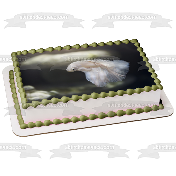 White Betta Fish Aquarium Animal Nature Edible Cake Topper Image ABPID52988 For Cheap