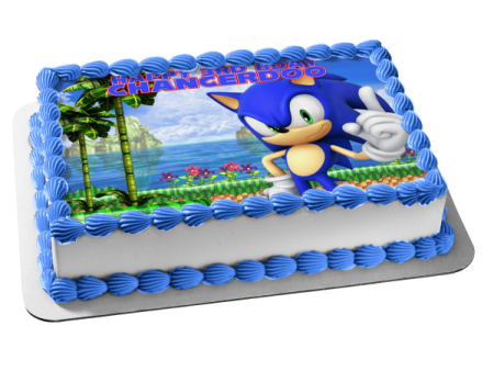 Sonic the Hedgehog Sega Island Video Game Edible Cake Topper Image ABPID52903 Online Sale