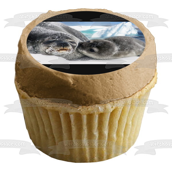 Mother and Baby Seal Nature Animal Wildife Arctic Ocean Edible Cake Topper Image ABPID52916 For Sale