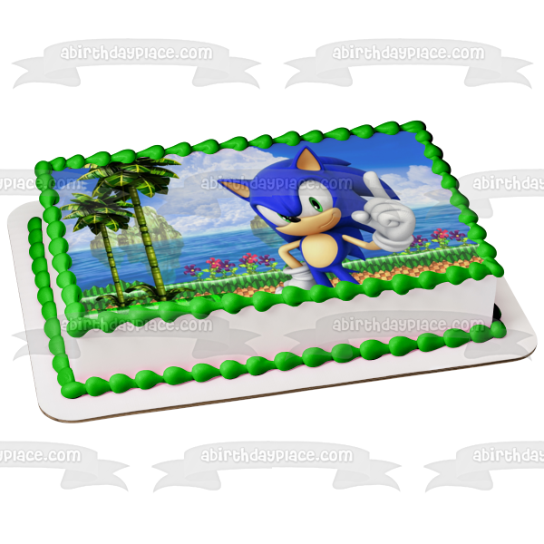 Sonic the Hedgehog Sega Island Video Game Edible Cake Topper Image ABPID52903 Online Sale