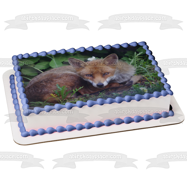 Nature Wildlife Forest Fox Animal Edible Cake Topper Image ABPID52828 on Sale