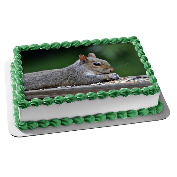 Squirrel Eating Nature Animal Wildlife Edible Cake Topper Image ABPID52844 Discount