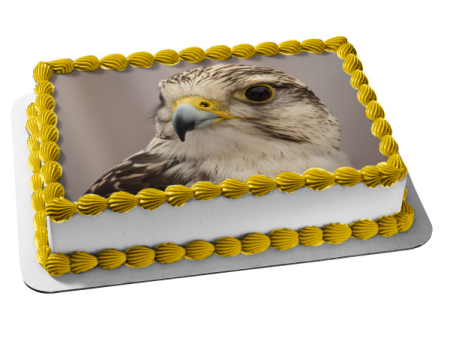 Wildlife Eagle Edible Cake Topper Image ABPID52938 Online