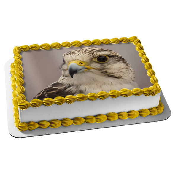 Wildlife Eagle Edible Cake Topper Image ABPID52938 Online