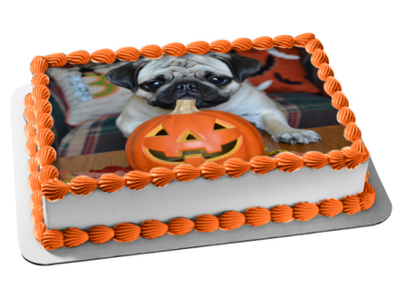 Happy Halloween Jack-O-Lantern Pug Puppy Edible Cake Topper Image ABPID52930 For Sale