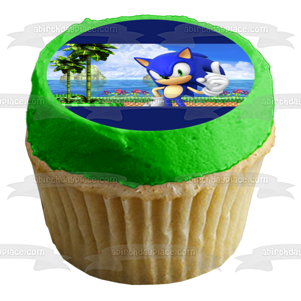 Sonic the Hedgehog Sega Island Video Game Edible Cake Topper Image ABPID52903 Online Sale