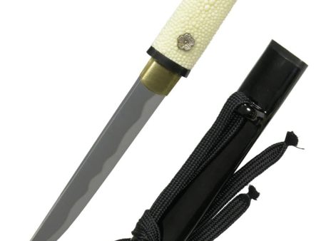 Tanto de prácticas Hanwei SH2254 Online Hot Sale