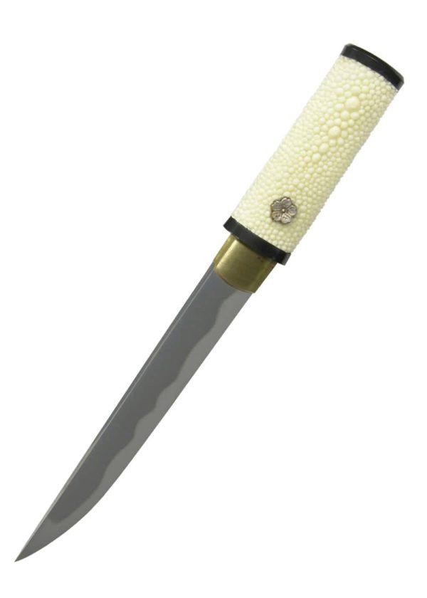 Tanto de prácticas Hanwei SH2254 Online Hot Sale