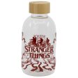 Botella Cristal Stranger Things 620Ml Online